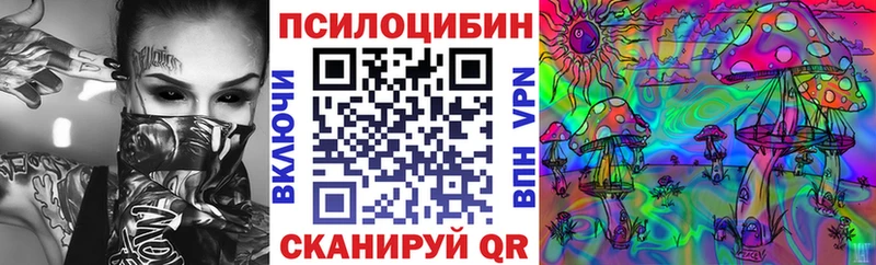 Галлюциногенные грибы Psilocybine cubensis наркота Каменск-Шахтинский