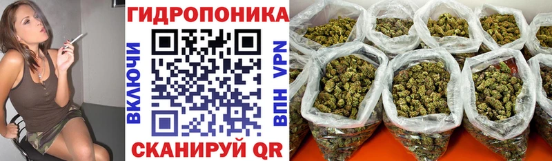 Марихуана конопля  Каменск-Шахтинский 
